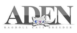 Aden Ragdoll Cattery