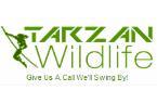 Tarzan Wildlife