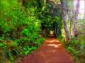 "Walk Therapy"