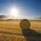 FarmTech-Solutions