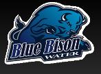 Blue Bison Water