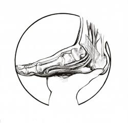 Comfort Stride Foot Clinic