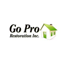 Go Pro Restoration Inc.