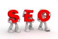 Search Engine Optimization