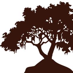 Parkstone Dental Clinic