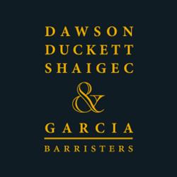 DDSG Criminal Law
