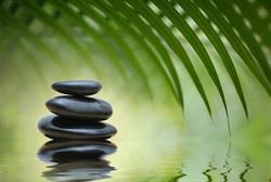 Thornhill Naturopathic