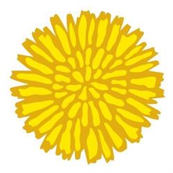 Dandelion Foods