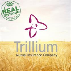 Trillium Mutual Insurance