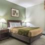 Guest room Guest room