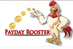 Payday Rooster