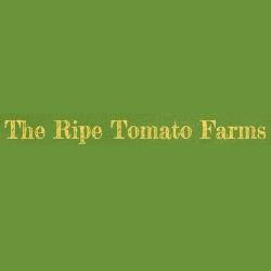 The Ripe Tomato
