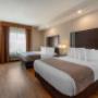 Double Queen Pet Friendly Double Queen Pet Friendly
