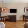 Double Queen Pet Friendly Double Queen Pet Friendly