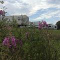 RV Site rental