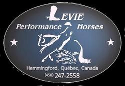 Levie Performance Horses
