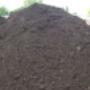 BLACK EARTH
(NO SAND OR FILLERS)
$22.75 per ½ yard
$33.00 per yard BLACK EARTH
(NO SAND OR FILLERS)
$22.75 per ½ yard
$33.00 per yard
