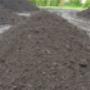 SUPER MUSHROOM COMPOST
$26.25 per ½ yard
$38.00 per yard SUPER MUSHROOM COMPOST
$26.25 per ½ yard
$38.00 per yard