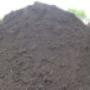 TOP SOIL
Blk Peat Loam and Sand.
$19.75 per ½ yard
$28.00 per yard TOP SOIL
Blk Peat Loam and Sand.
$19.75 per ½ yard
$28.00 per yard