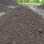 MANOTICK ORGANIC MIX
Peat Moss, Manure, Blk Peat Loam and Mushroom Compost. (NO SAND OR FILLERS)
$33.15 per ½ yard
$48.00 per yard MANOTICK ORGANIC MIX
Peat Moss, Manure, Blk Peat Loam and Mushroom Compost. (NO SAND OR FILLERS)
$33.15 per ½ yard
$48.00 per yard