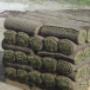 Chargé par visiteur le 2016-07-22 - Fresh Sod Chargé par visiteur le 2016-07-22 - Fresh Sod