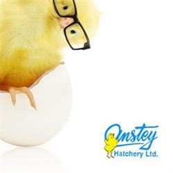 Anstey Hatchery