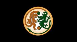 Tiger Dragon Kung Fu Martial Arts