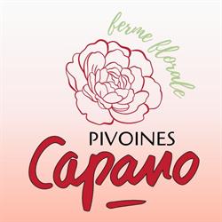 Pivoines Capano
