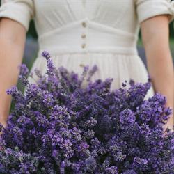 Tuscan Farm Gardens