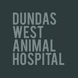 Dundas West Animal Hospital
