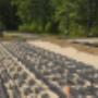 Chargé par visiteur le 2016-07-01 - Drainage Chargé par visiteur le 2016-07-01 - Drainage