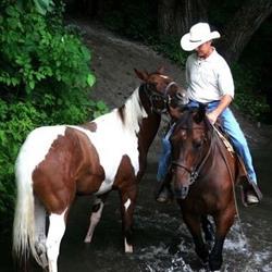 Randy Bird Equine Education