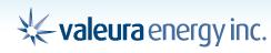 Northern Hunter Energy Inc