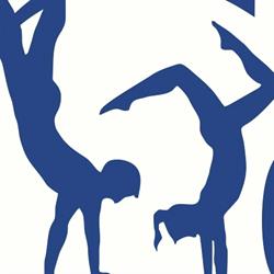 Selkirk Challengers Gymnastics Club