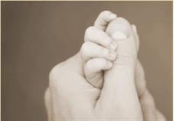 Midwifery Collective of Ottawa