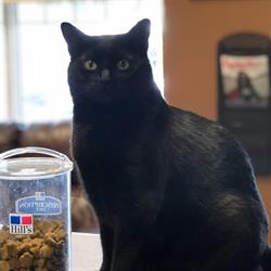 Country Club Animal Clinic