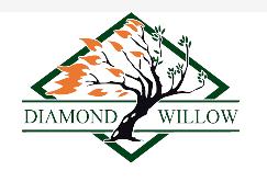 Diamond Willow Mechanical Ltd