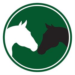 Back of Beyond Equine Centre