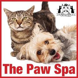 The Paw Spa
