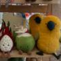 Summer Time JellyCat fun! Summer Time JellyCat fun!