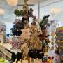 Jelly Cat Fans! We have unpacked the best new finds! Jelly Cat Fans! We have unpacked the best new finds!