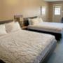 Guest room with queen bed(s) Guest room with queen bed(s)