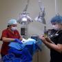 Surgical centre at QP
pet hospital. Surgical centre at QP
pet hospital.