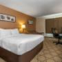 Guest room with queen bed(s) Guest room with queen bed(s)