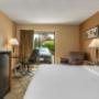 Guest room with king bed(s) Guest room with king bed(s)