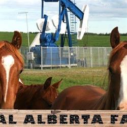 Central Alberta Farms