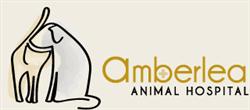 Amberlea Animal Hospital - Veterinary Clinic