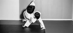 ARMOUR MARTIAL ARTS