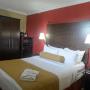 One Queen Room One Queen Room