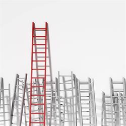 Avanta Consulting Inc